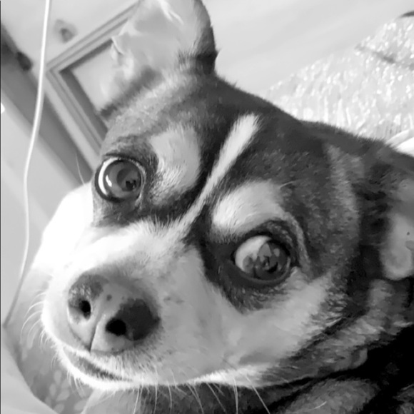 Meet your Posher, Shawnna - Picture 1 of 1